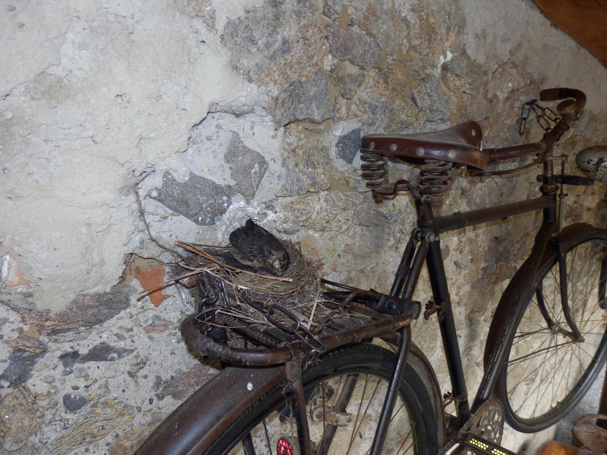 Heritage Durnstein Bagian luar foto